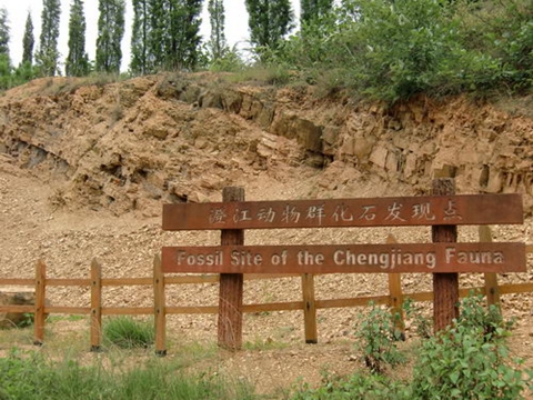 中国科学院南京古生物所硕士毕业的侯先光发现澄江化石遗址的地方