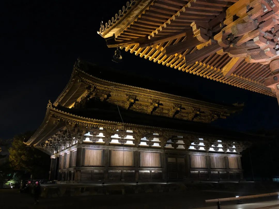 京都东寺|夜间特别拜观