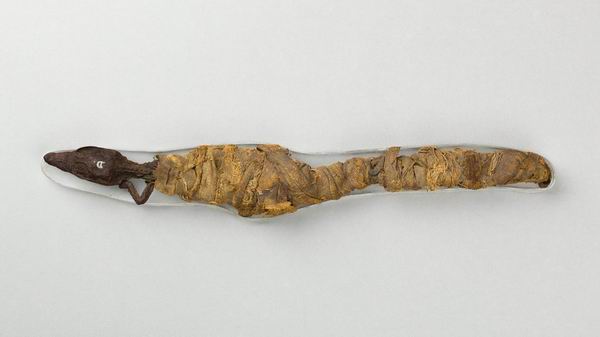 鳄鱼木乃伊（约公元前400-公元100年），纽约大都会博物馆藏。
