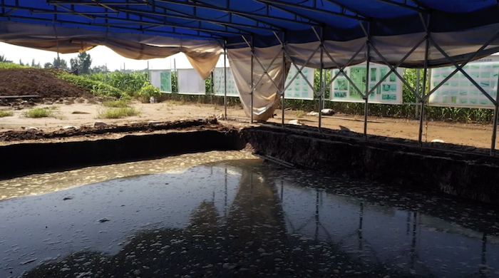 7月26日拍摄的安阳洹北商城制陶制骨作坊遗址考古工地，考古探方内仍有大量积水。（视频截图）