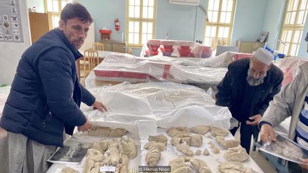 2020年，阿富汗国家博物馆员工一直没有放弃从战火中拯救博物馆的收藏