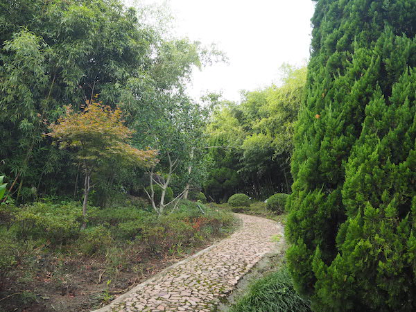 福泉山遗址景区内现在是树木葱茏，绿树掩翠