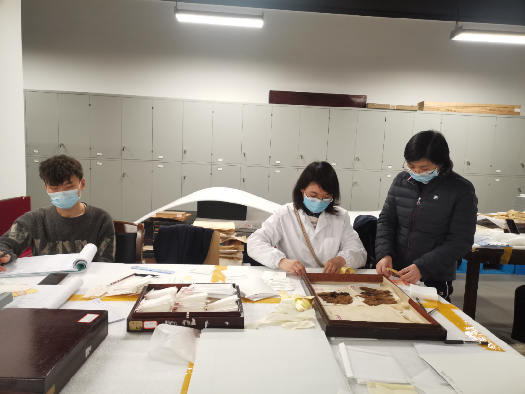喻燕姣（右）正在指导工作人员对马王堆汉墓出土的文物进行清库建档。图源：湖南省博物馆