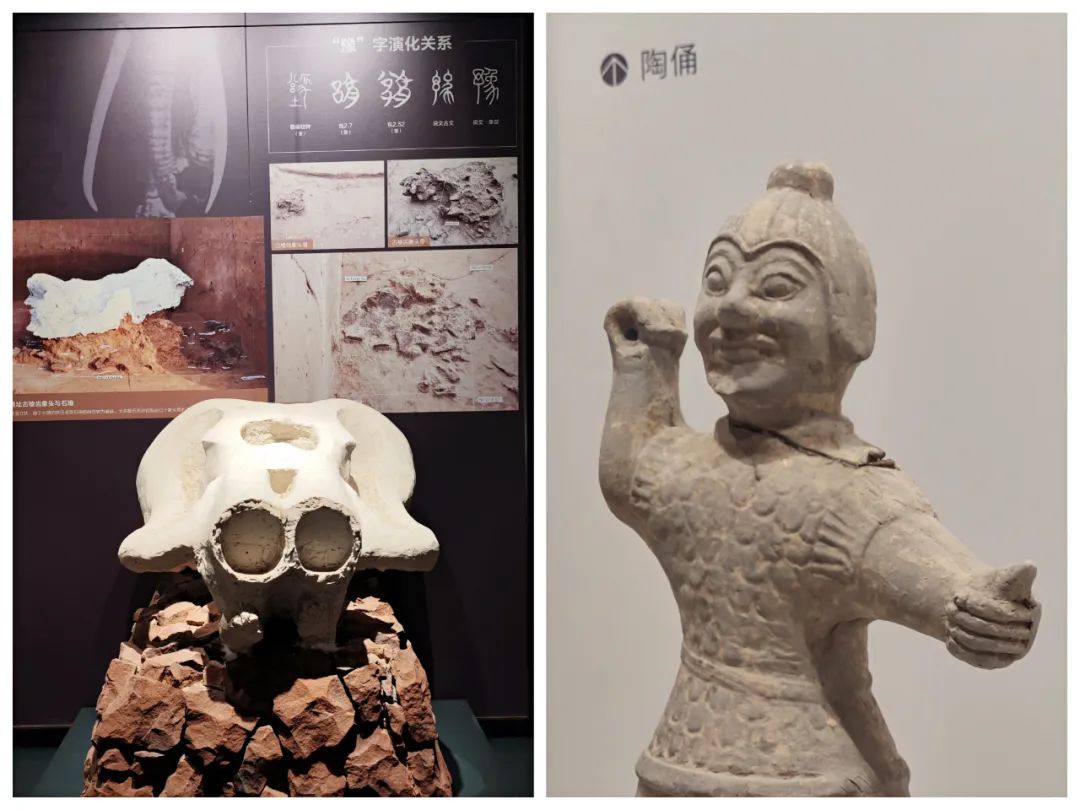郑州市文物考古研究院考古博物馆展厅一角