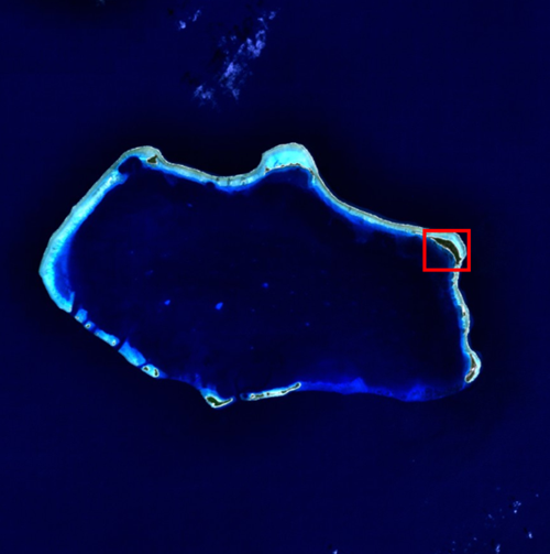 核试验给比基尼环礁带来严重的放射性污染和破坏