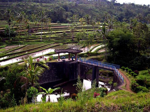 巴厘文化景观，也称“苏巴克”灌溉系统，始建于公元11世纪