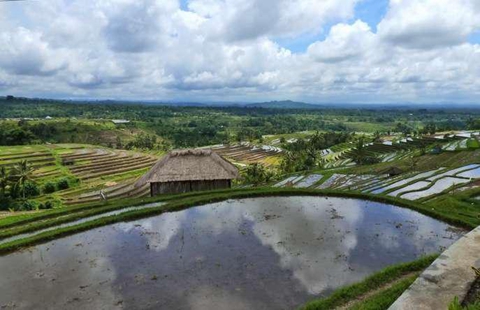 巴厘岛的经济以农业为主，盛产稻米、玉米、椰子和咖啡