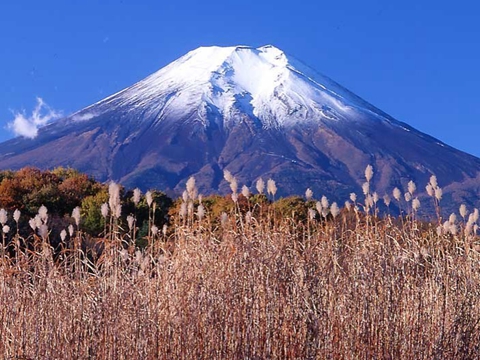 富士山形成约有1万年，是典型的层状火山