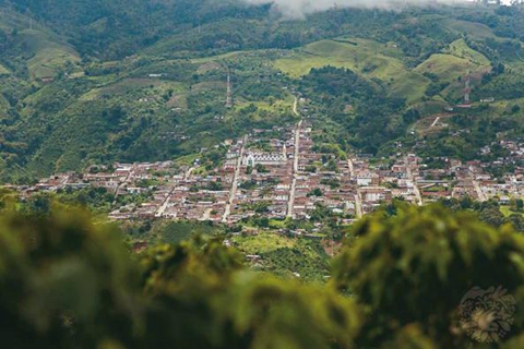 哥伦比亚咖啡文化景观位于哥伦比亚西部安第斯山脉的中西部山麓之间