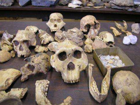 在此发现的化石确定了早期原始人类的一些标本